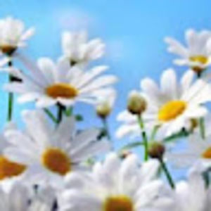 Meet your Posher, K.